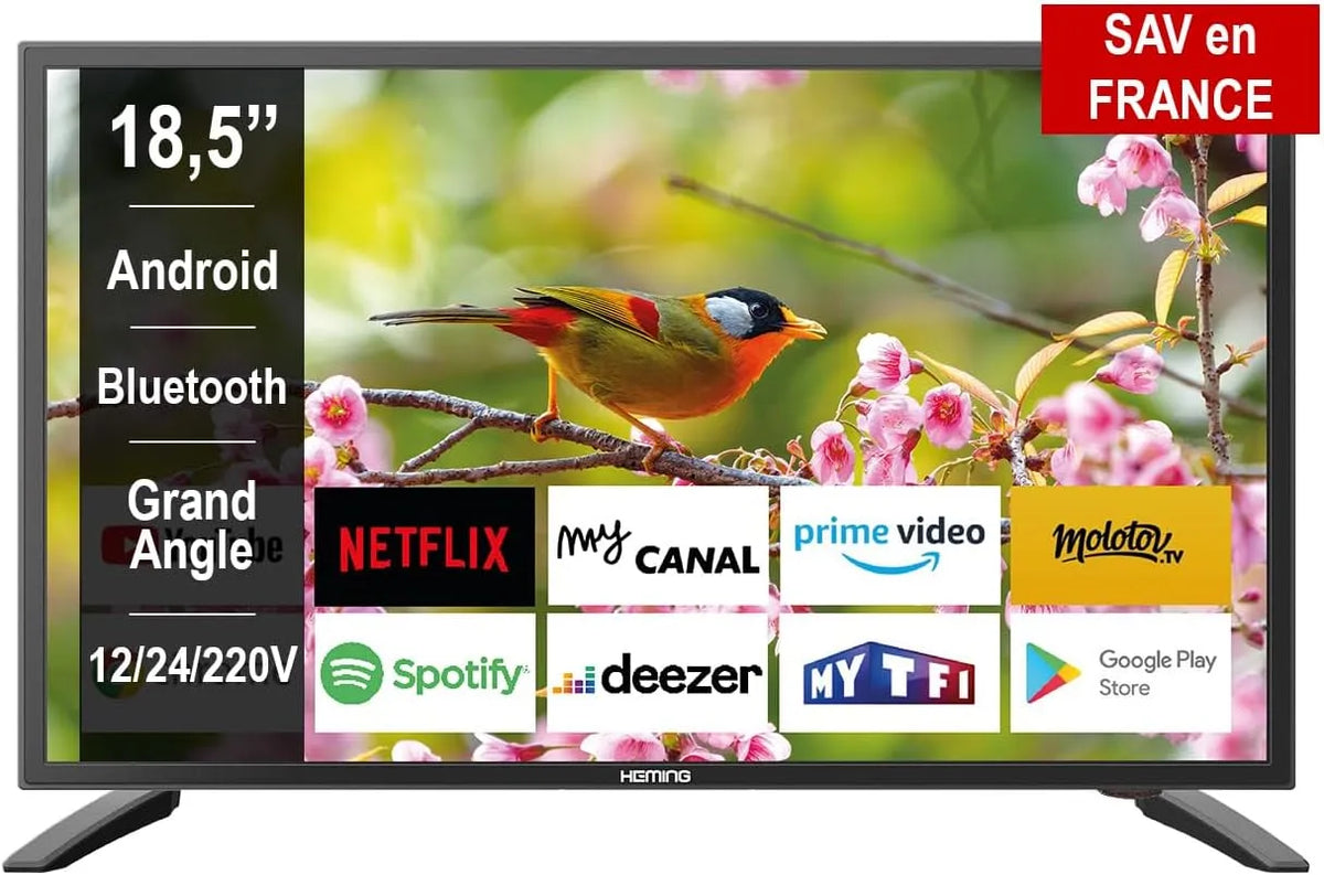 Smart TV Heming, 18,5', largeur 47 cm, tension 12V, tension 24V, tension 220V, Android Connecté WiFi avec Bluetooth