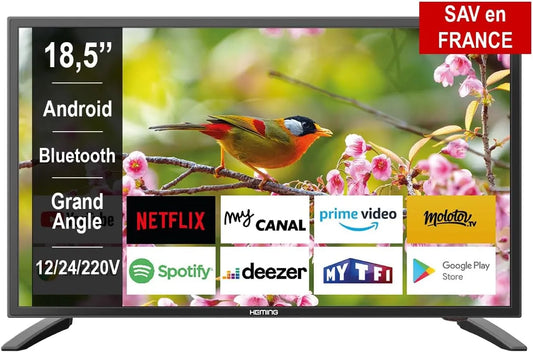 Smart TV Heming, 18,5', largeur 47 cm, tension 12V, tension 24V, tension 220V, Android Connecté WiFi avec Bluetooth